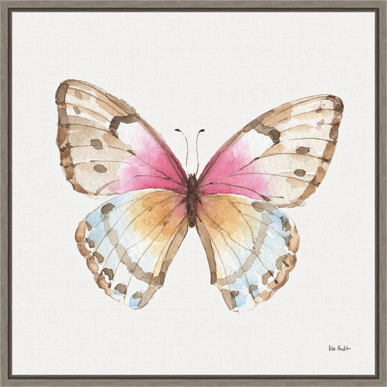 Colorful Breeze XI (Butterfly) by Lisa Audit 16-in. W x 16-in. H. Canvas Wall Art Print Framed in Grey